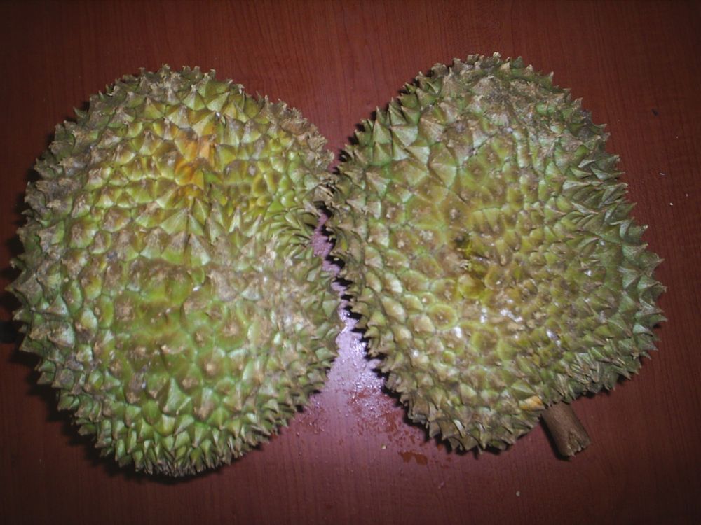 반으로 잘린 두리안
